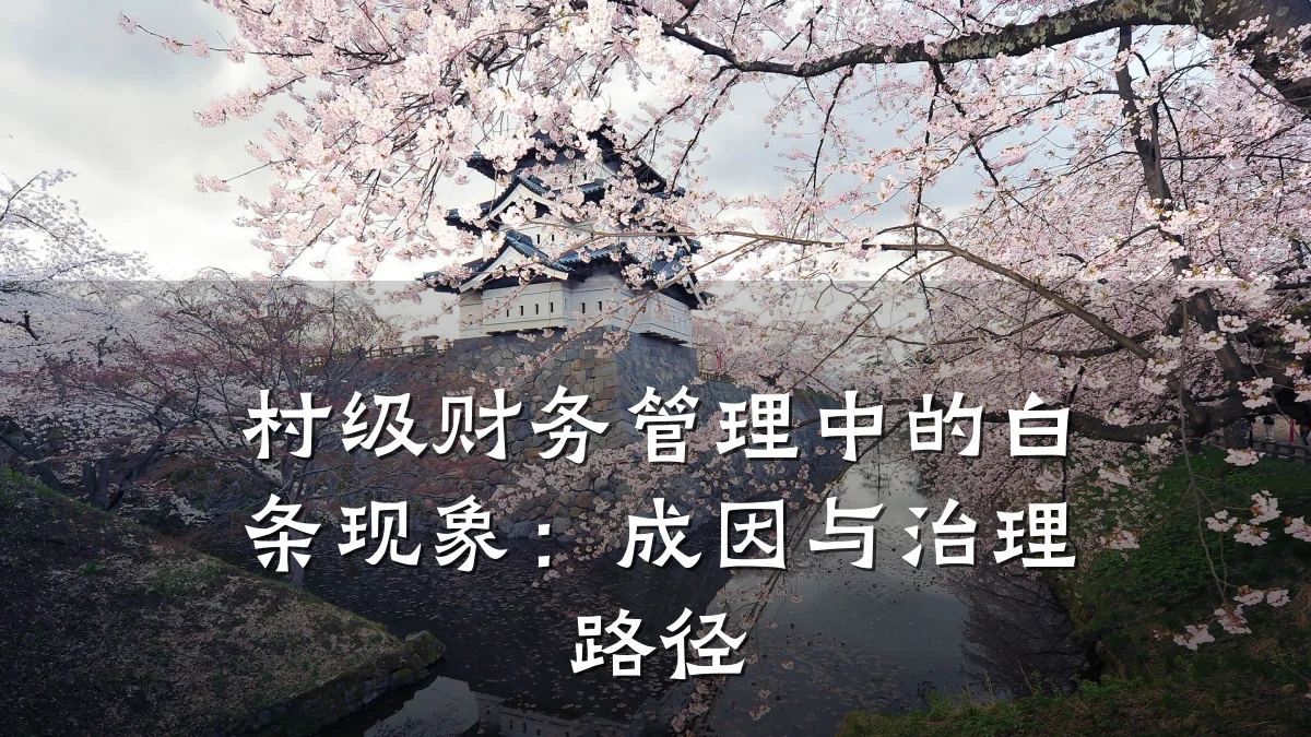 村级财务管理中的白条现象：成因与治理路径
