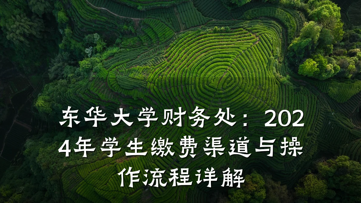 东华大学财务处:2024年学生缴费渠道与操作流程详解