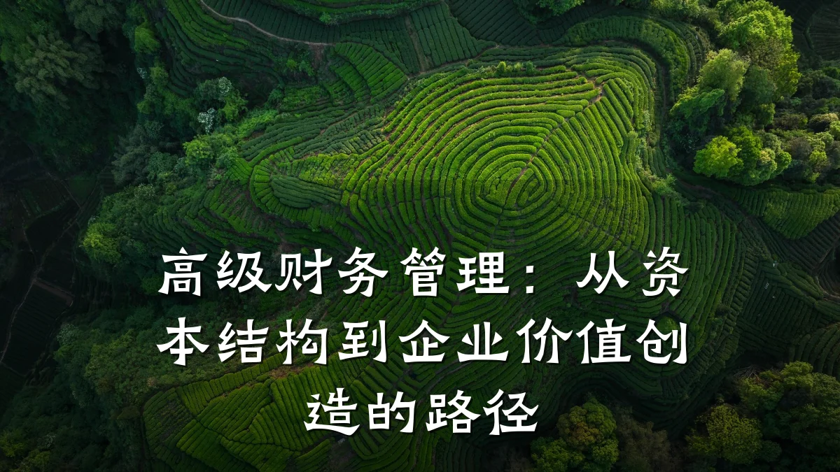 高级财务管理:从资本结构到企业价值创造的路径