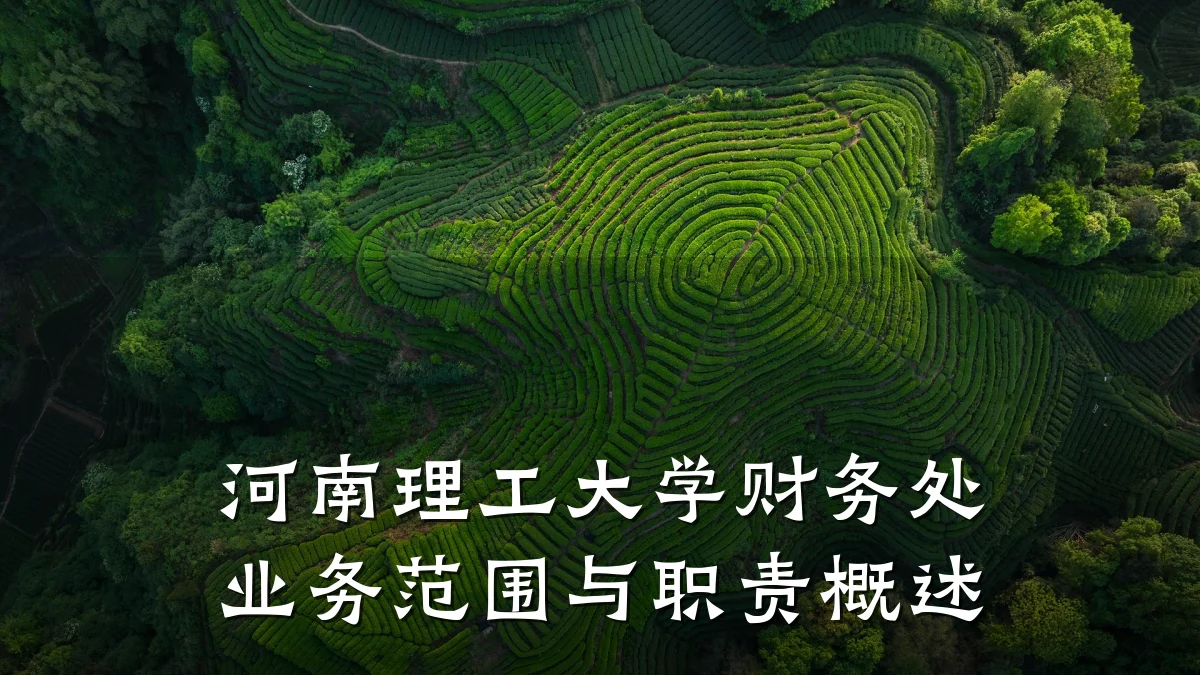 河南理工大学财务处业务范围与职责概述
