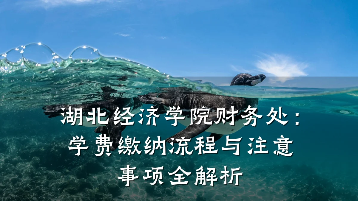 湖北经济学院财务处:学费缴纳流程与注意事项全解析