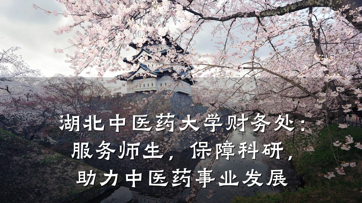 湖北中医药大学财务处:服务师生,保障科研,助力中医药事业发展