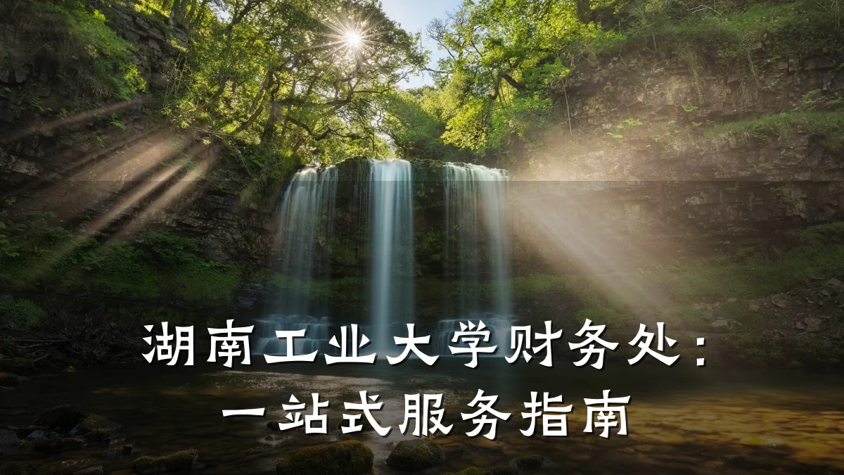 湖南工业大学财务处:一站式服务指南