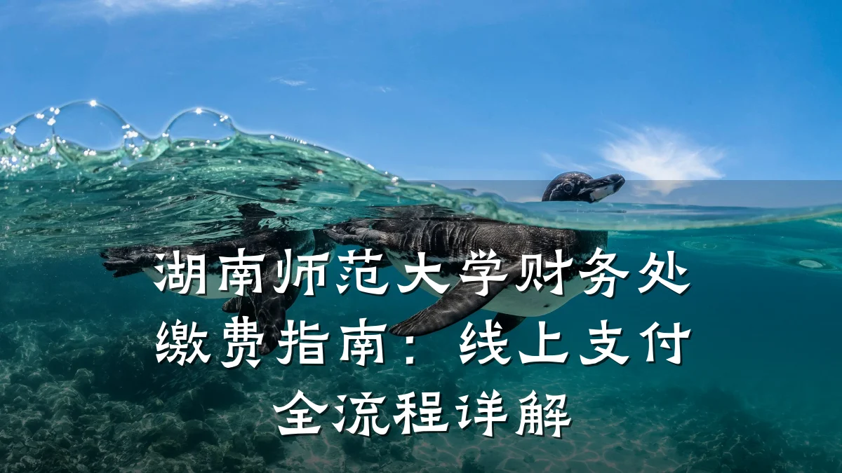 湖南师范大学财务处缴费指南：线上支付全流程详解
