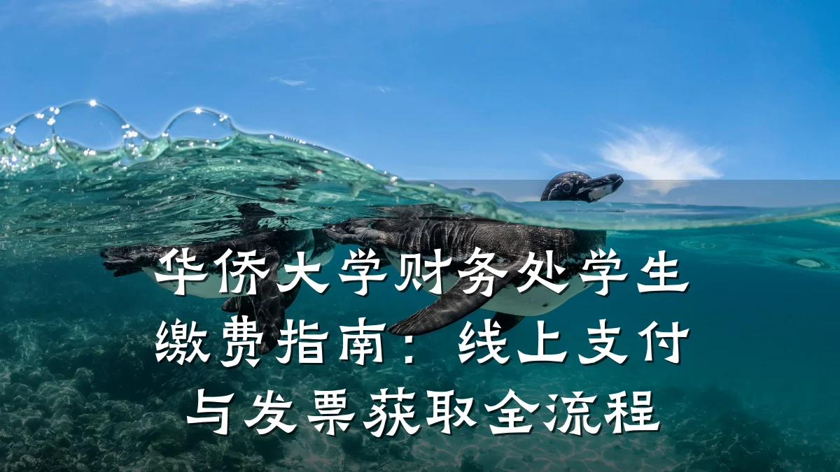 华侨大学财务处学生缴费指南:线上支付与发票获取全流程