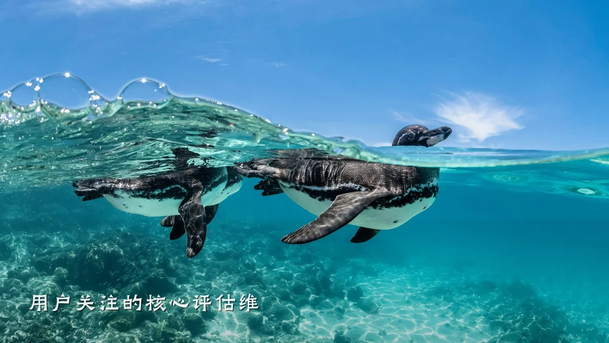 用户关注的核心评估维
