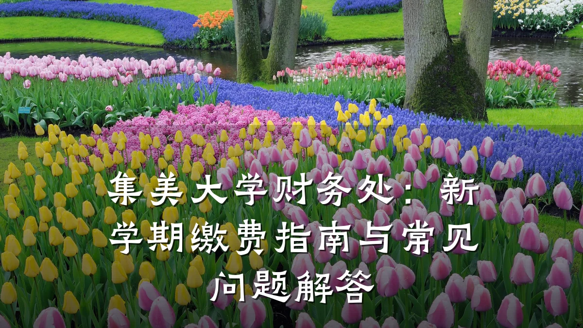 集美大学财务处：新学期缴费指南与常见问题解答
