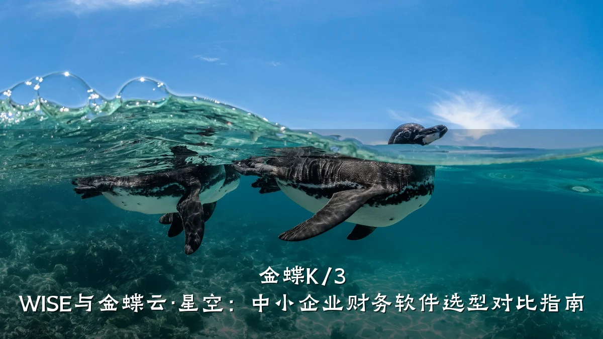 金蝶K/3 WISE与金蝶云·星空:中小企业财务软件选型对比指南
