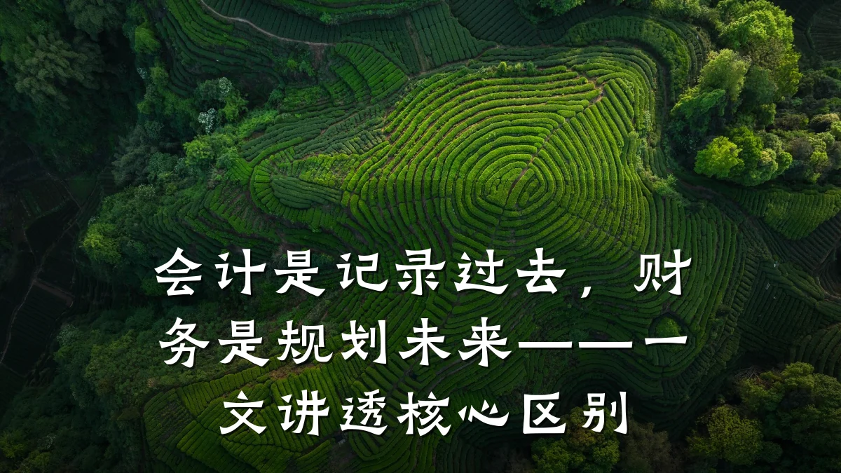 会计是记录过去,财务是规划未来——一文讲透核心区别