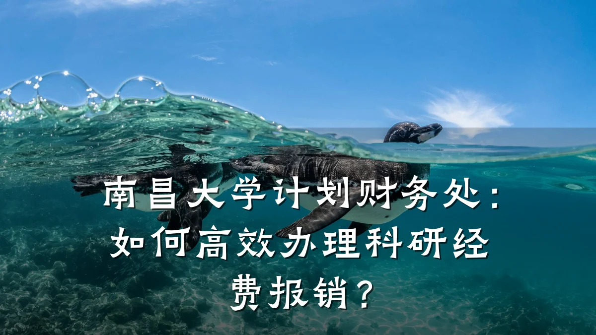 南昌大学计划财务处：如何高效办理科研经费报销？