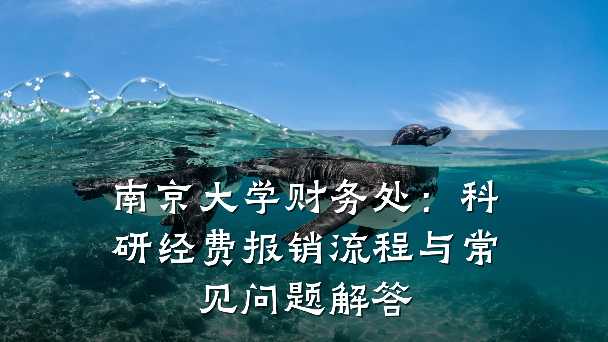 南京大学财务处：科研经费报销流程与常见问题解答