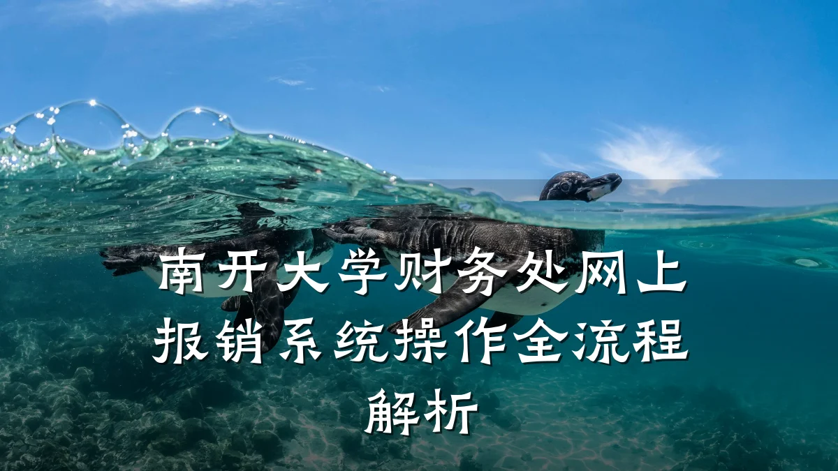南开大学财务处网上报销系统操作全流程解析