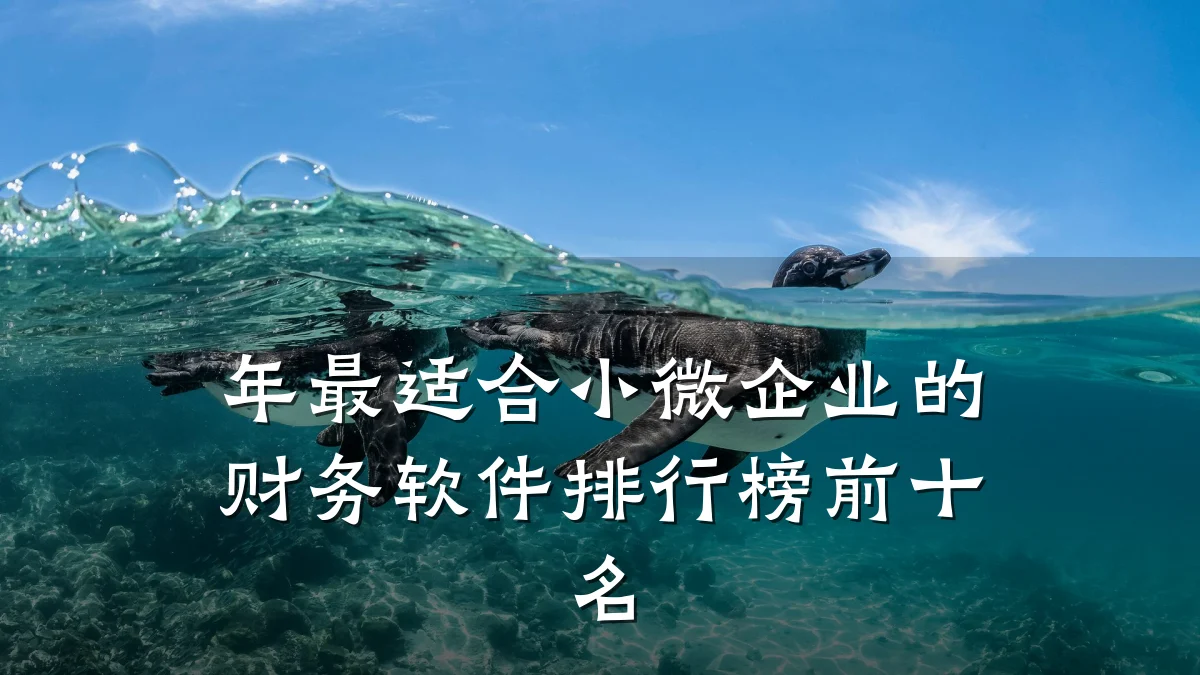 年最适合小微企业的财务软件排行榜前十名