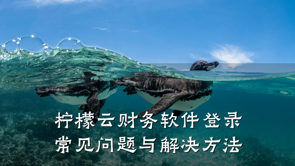 柠檬云财务软件登录常见问题与解决方法