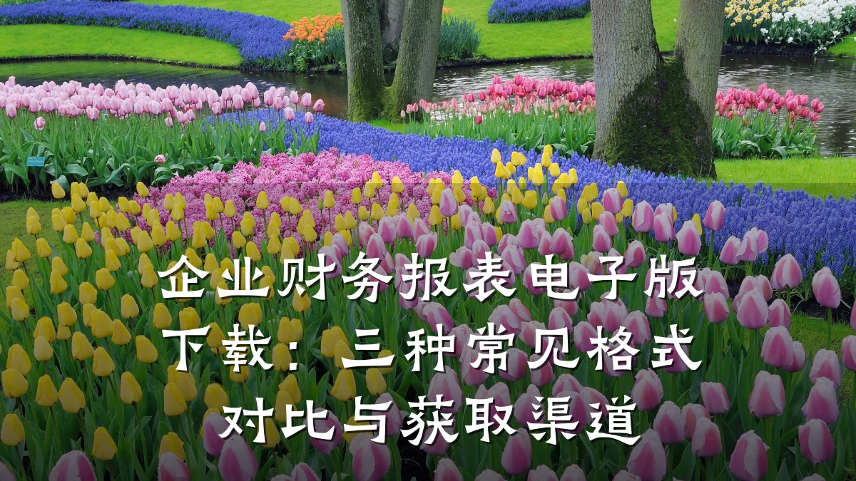 企业财务报表电子版下载：三种常见格式对比与获取渠道