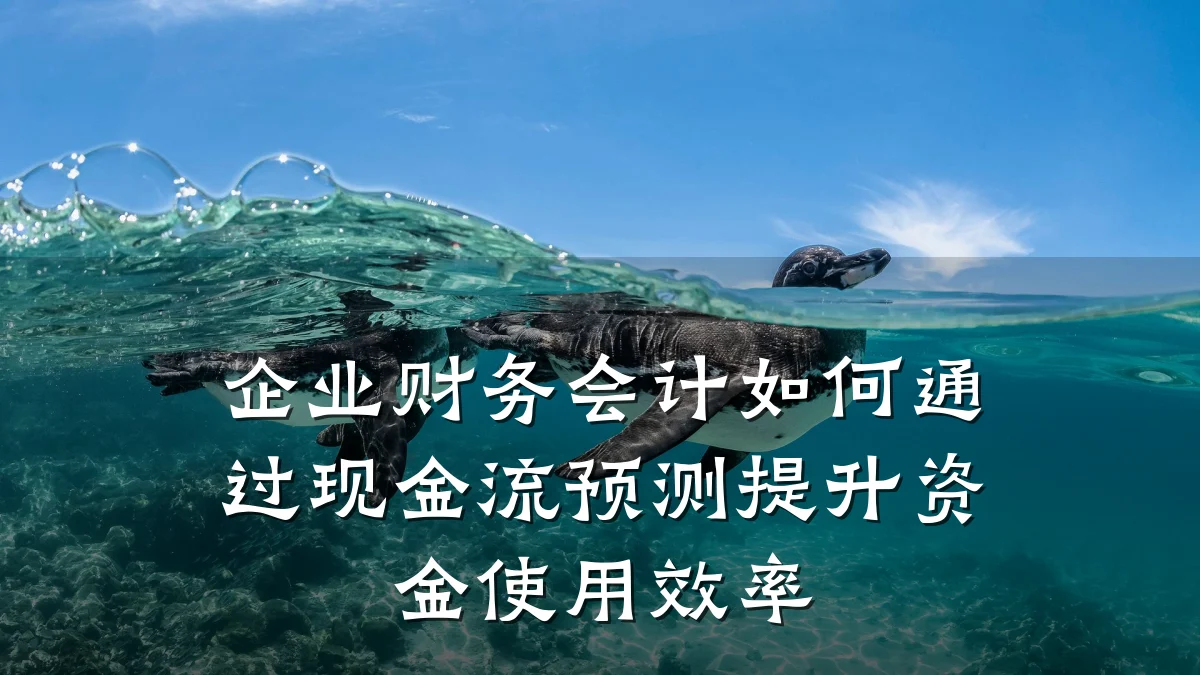 企业财务会计如何通过现金流预测提升资金使用效率