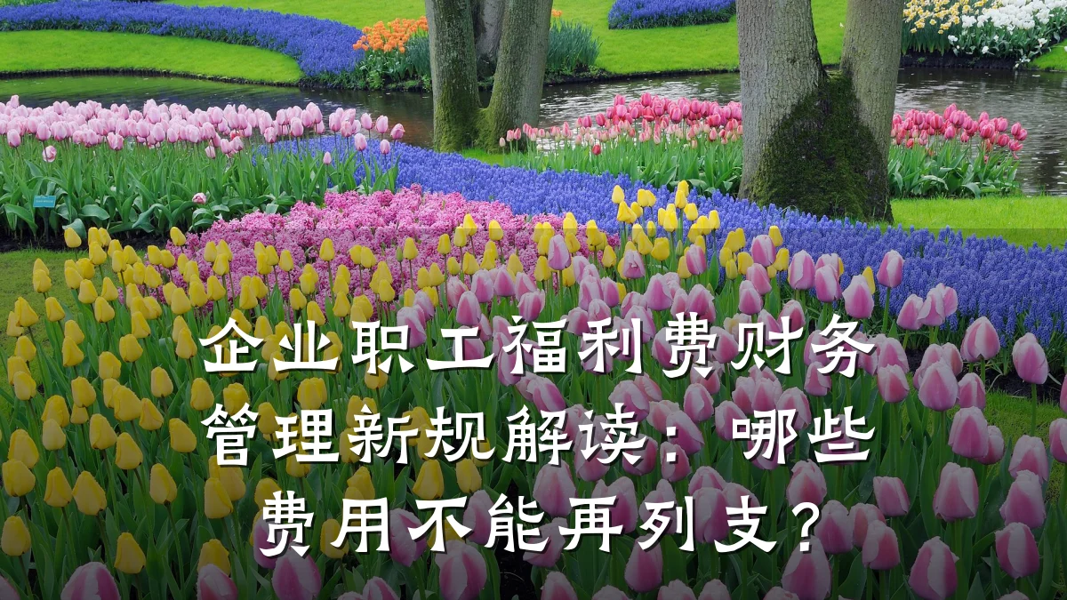 企业职工福利费财务管理新规解读:哪些费用不能再列支?
