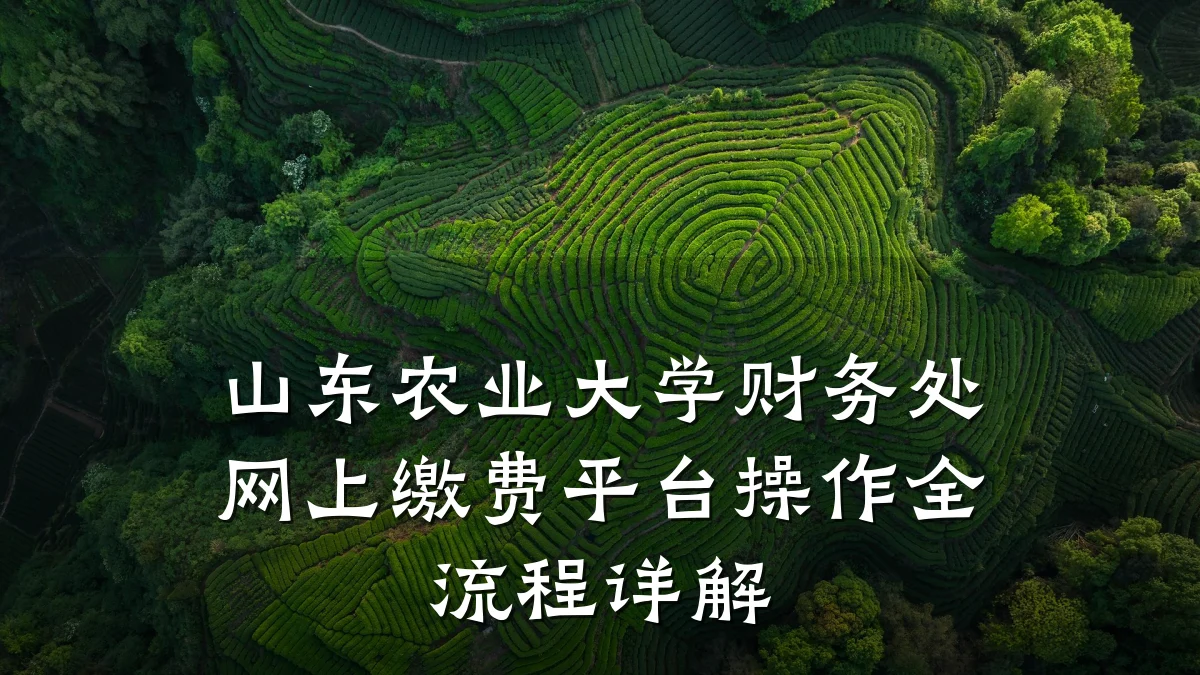 山东农业大学财务处网上缴费平台操作全流程详解