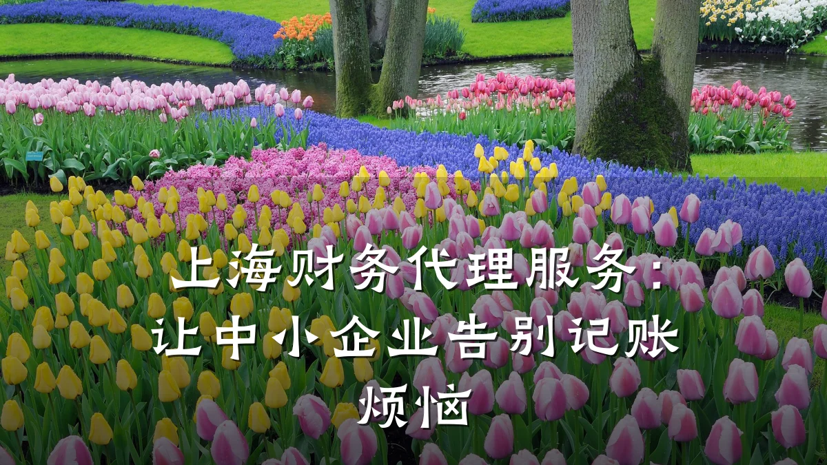 上海财务代理服务:让中小企业告别记账烦恼