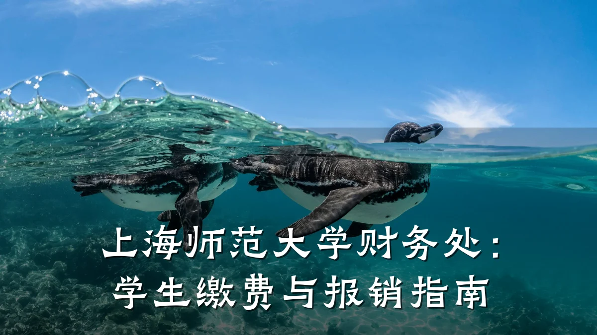 上海师范大学财务处:学生缴费与报销指南