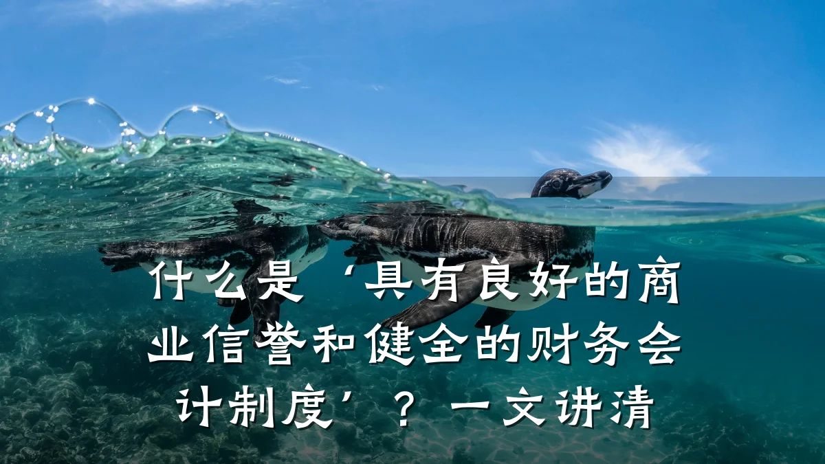 什么是‘具有良好的商业信誉和健全的财务会计制度’?一文讲清