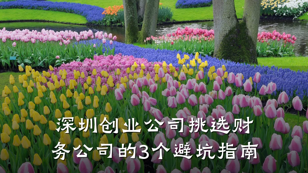 深圳创业公司挑选财务公司的3个避坑指南