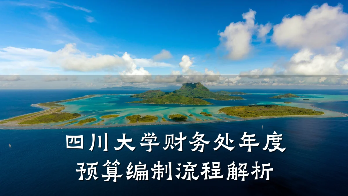 四川大学财务处年度预算编制流程解析