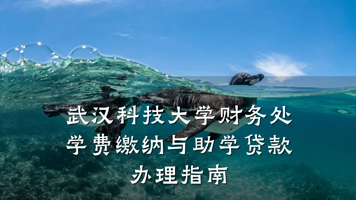 武汉科技大学财务处学费缴纳与助学贷款办理指南