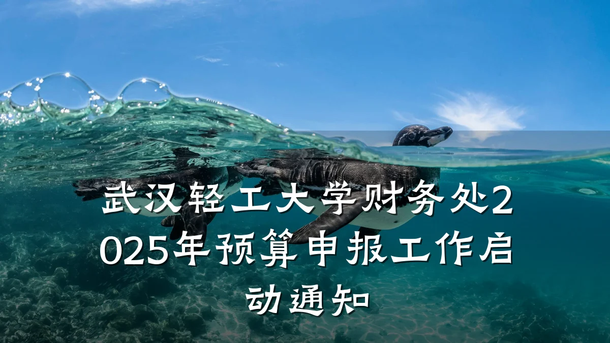 武汉轻工大学财务处2025年预算申报工作启动通知