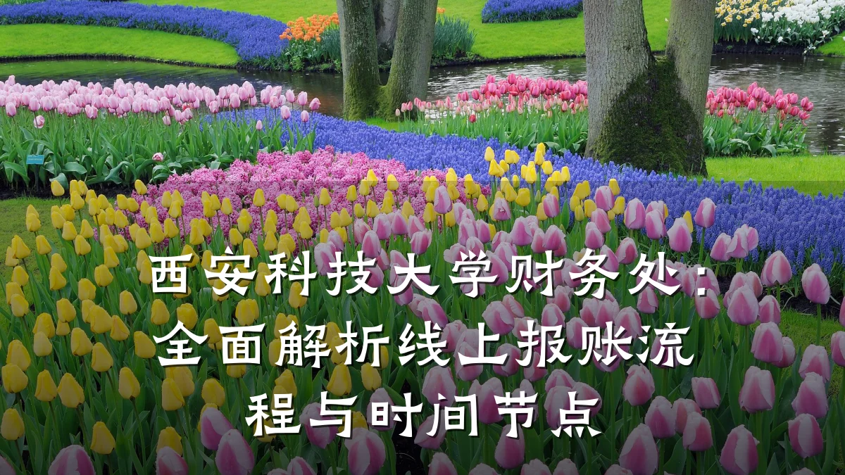 西安科技大学财务处：全面解析线上报账流程与时间节点