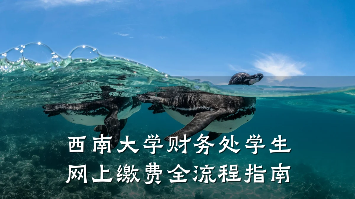 西南大学财务处学生网上缴费全流程指南