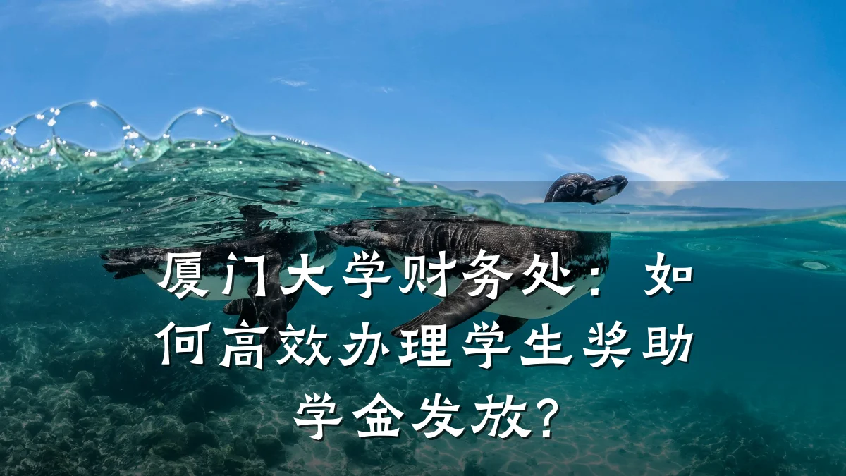 厦门大学财务处:如何高效办理学生奖助学金发放?
