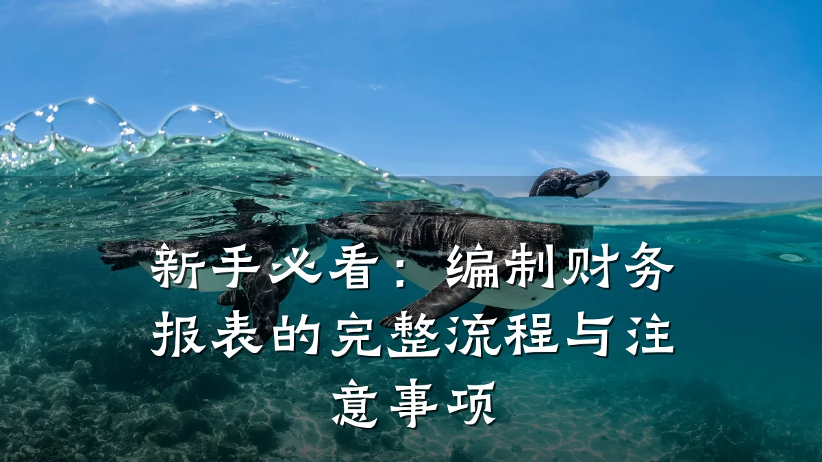 新手必看:编制财务报表的完整流程与注意事项