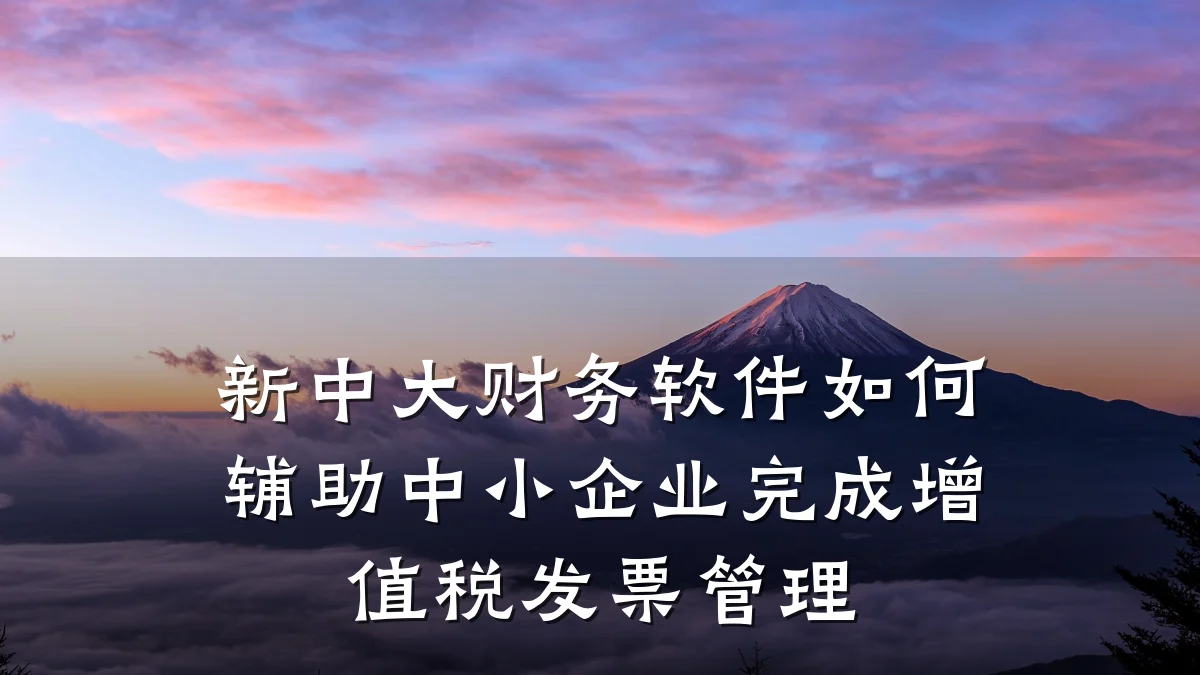 新中大财务软件如何辅助中小企业完成增值税发票管理