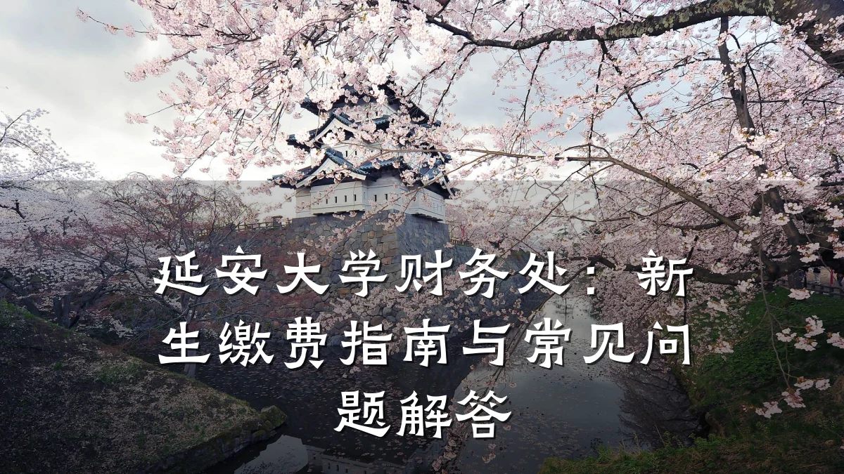 延安大学财务处:新生缴费指南与常见问题解答