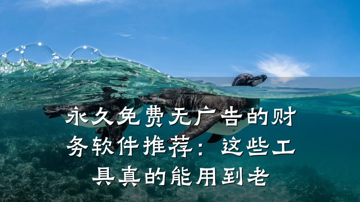 永久免费无广告的财务软件推荐:这些工具真的能用到老