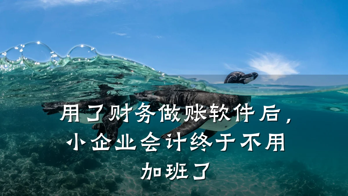用了财务做账软件后，小企业会计终于不用加班了
