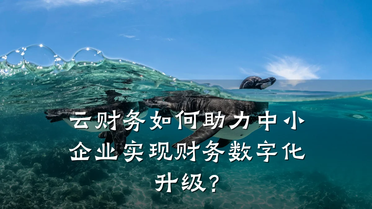 云财务如何助力中小企业实现财务数字化升级?