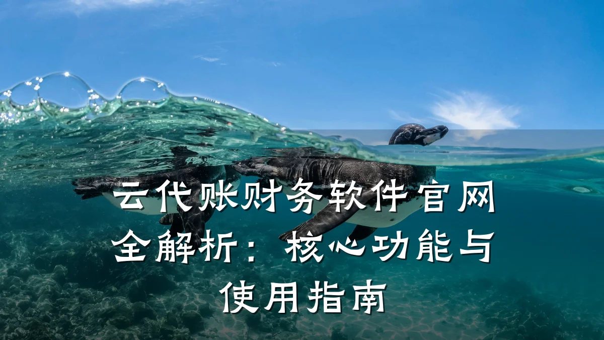 云代账财务软件官网全解析:核心功能与使用指南