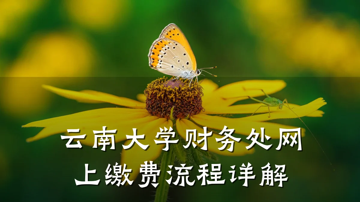 云南大学财务处网上缴费流程详解