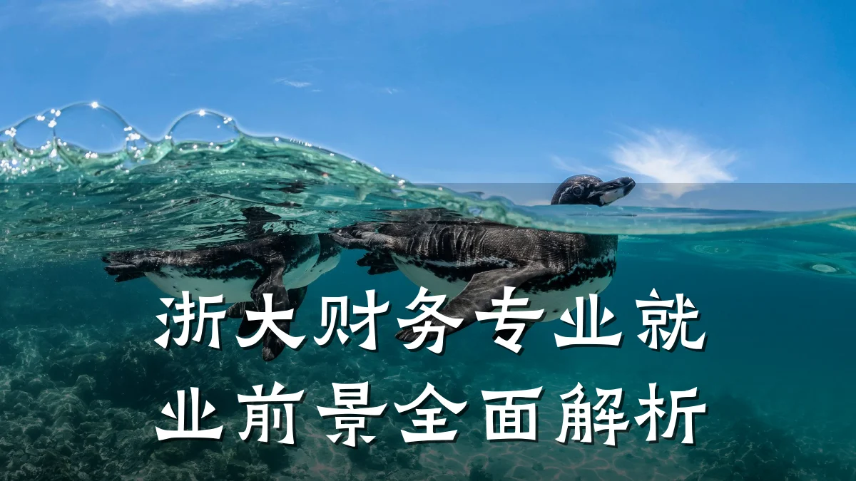 浙大财务专业就业前景全面解析