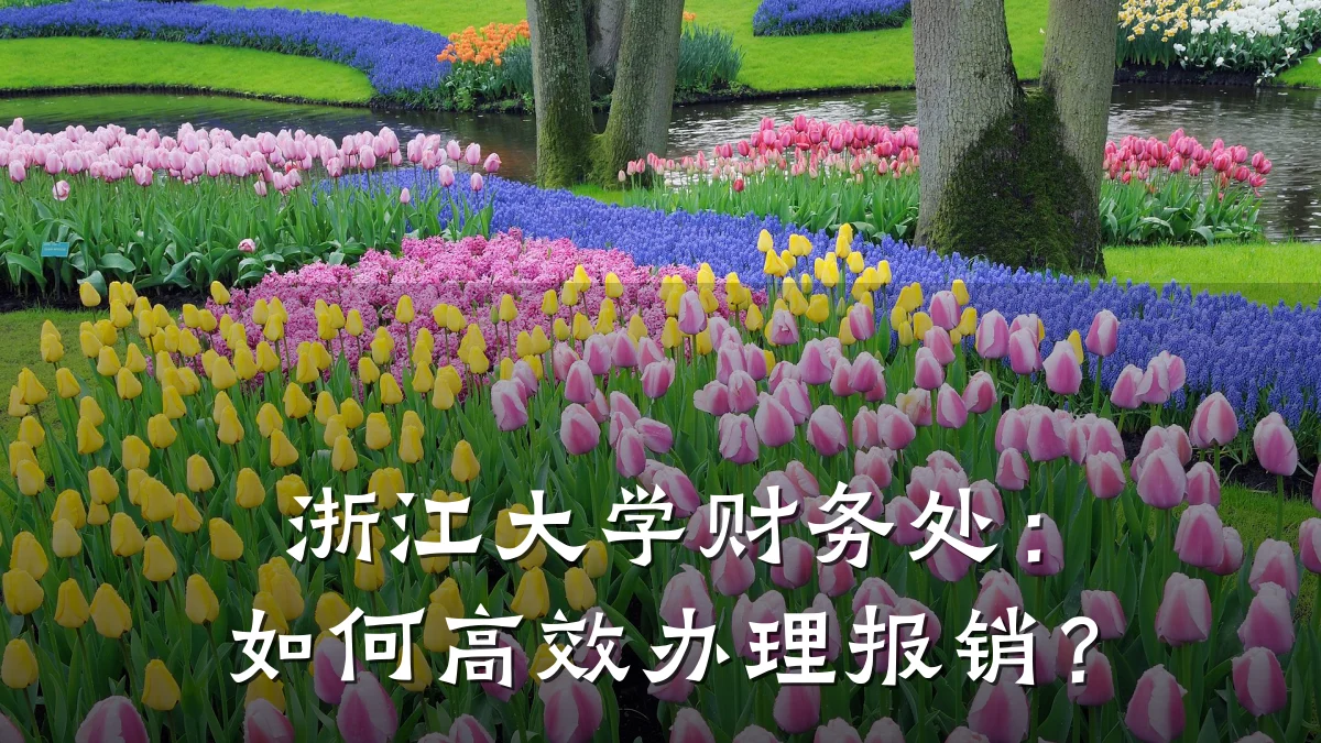 浙江大学财务处:如何高效办理报销?