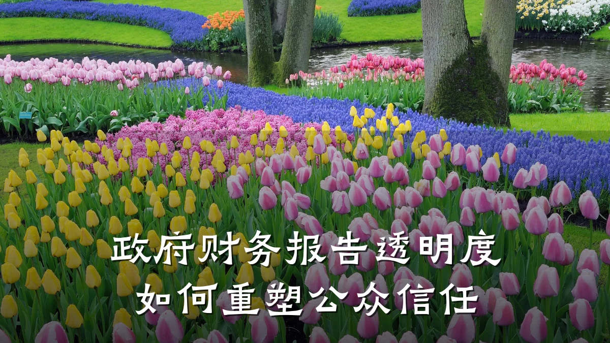 政府财务报告透明度如何重塑公众信任