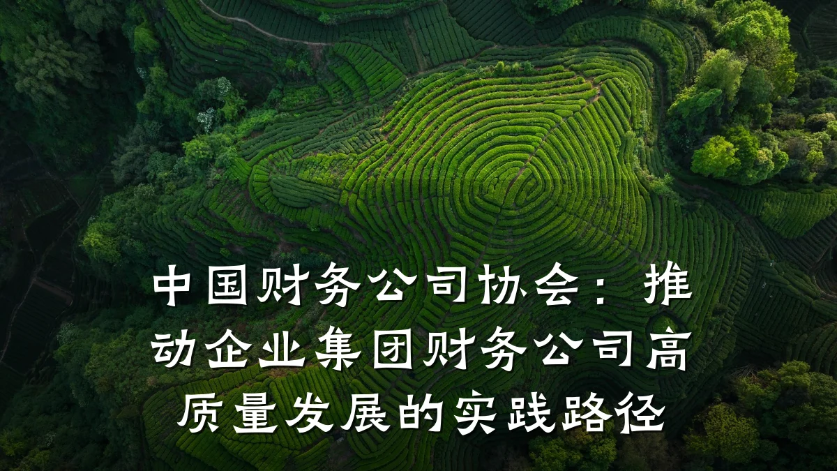 中国财务公司协会:推动企业集团财务公司高质量发展的实践路径