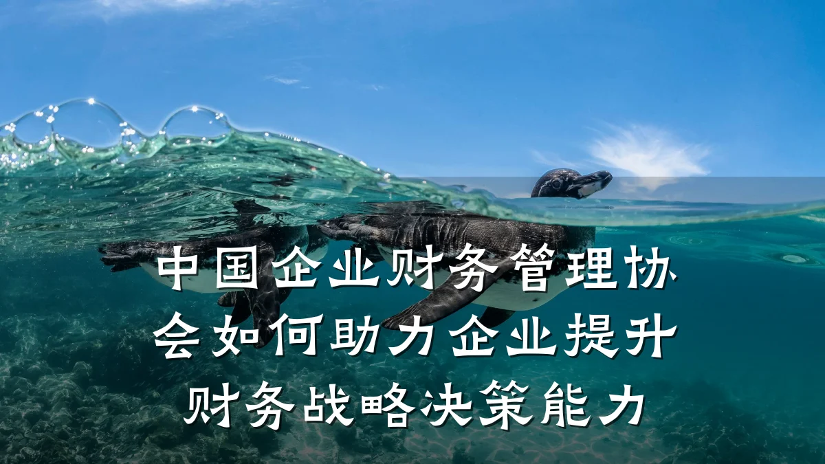 中国企业财务管理协会如何助力企业提升财务战略决策能力