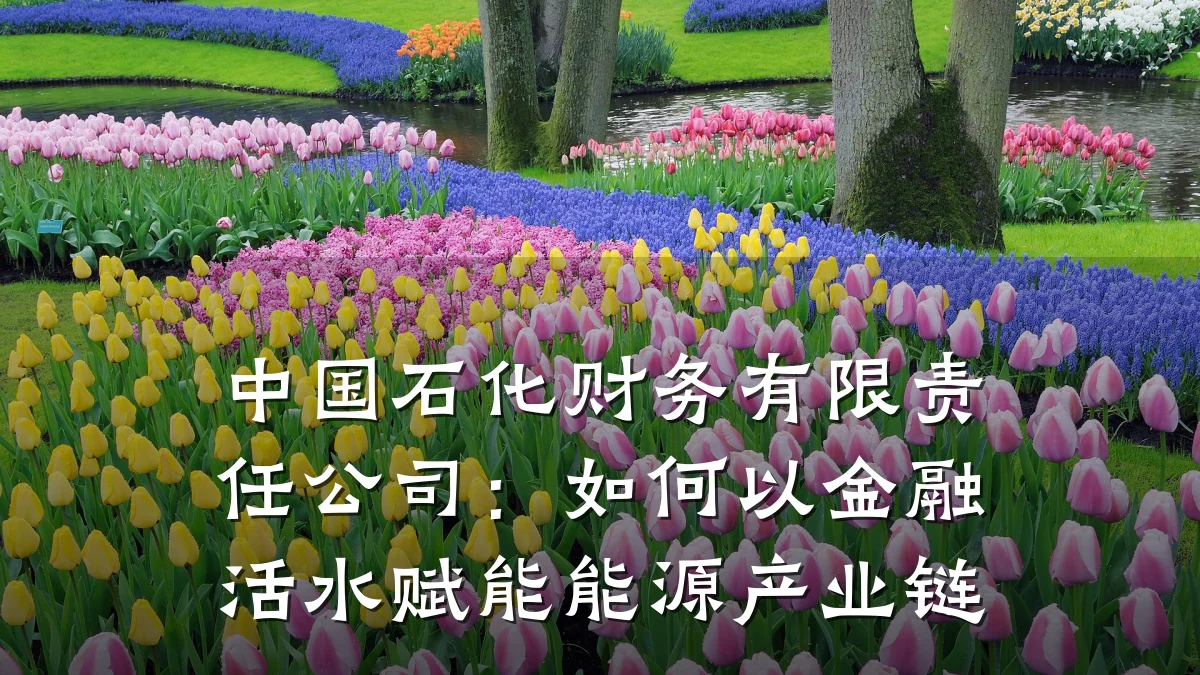 中国石化财务有限责任公司:如何以金融活水赋能能源产业链