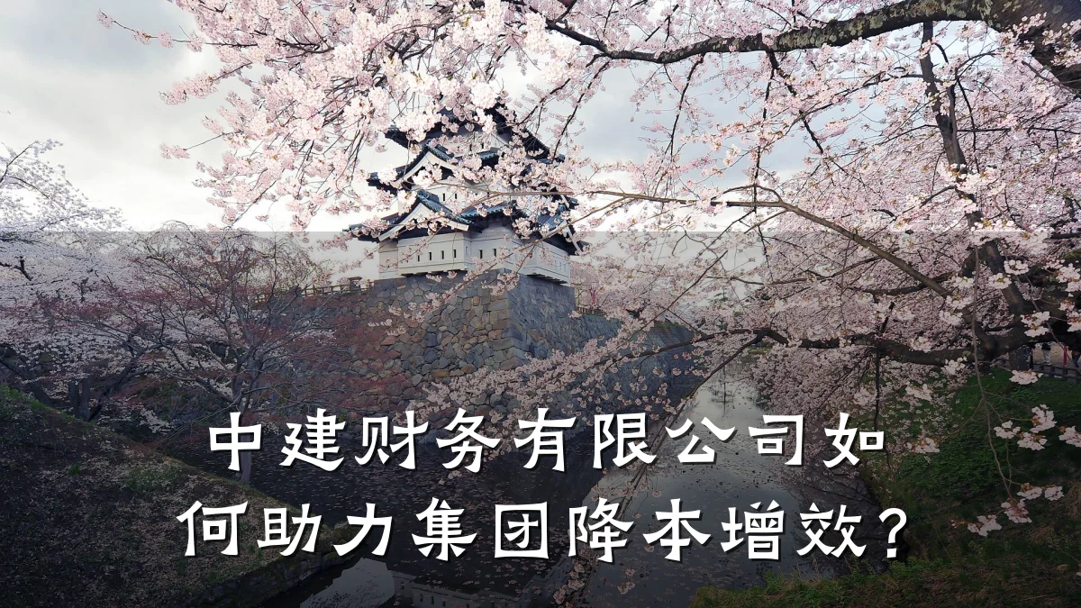 中建财务有限公司如何助力集团降本增效？