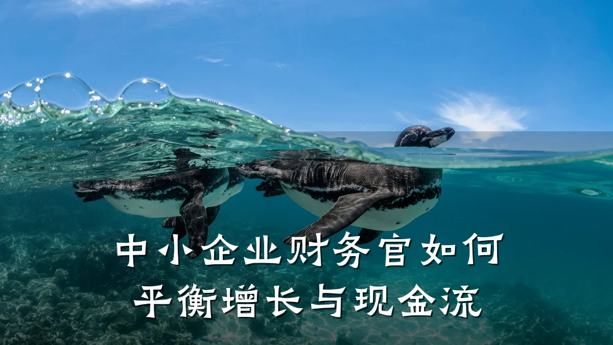 中小企业财务官如何平衡增长与现金流