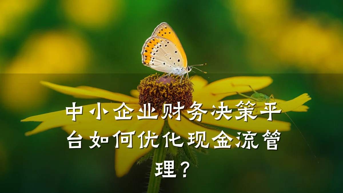 中小企业财务决策平台如何优化现金流管理?