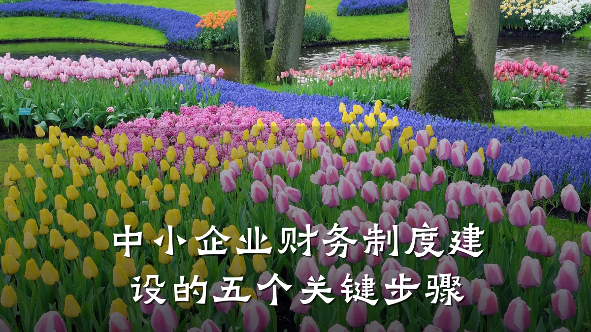 中小企业财务制度建设的五个关键步骤